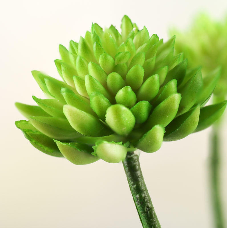 Factory Direct Craft Trio of Artificial Sedum Succulent Picks for Crafting