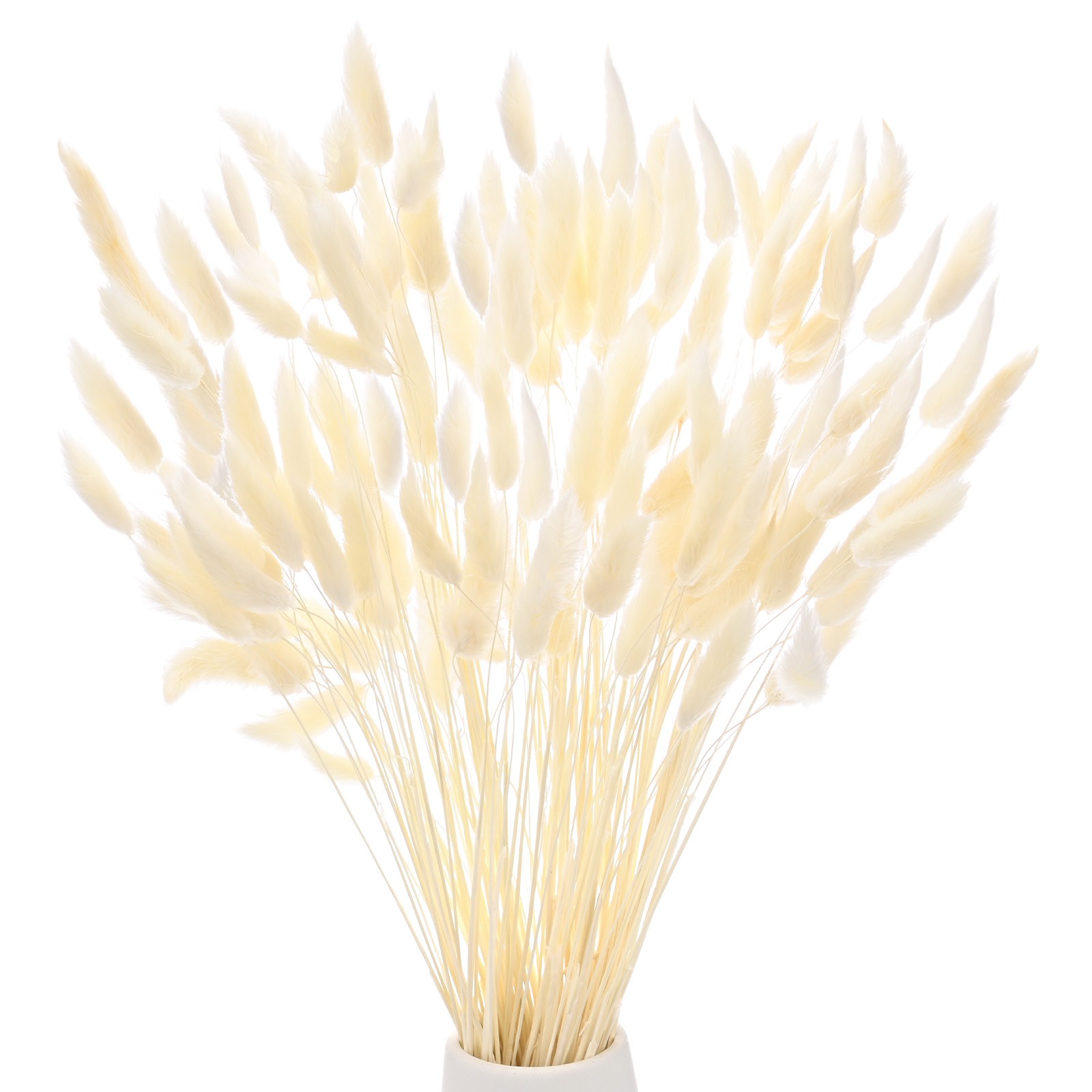 180-Pack Bunny Tails Grass 17 Inch for Home Decor/Wedding [White]