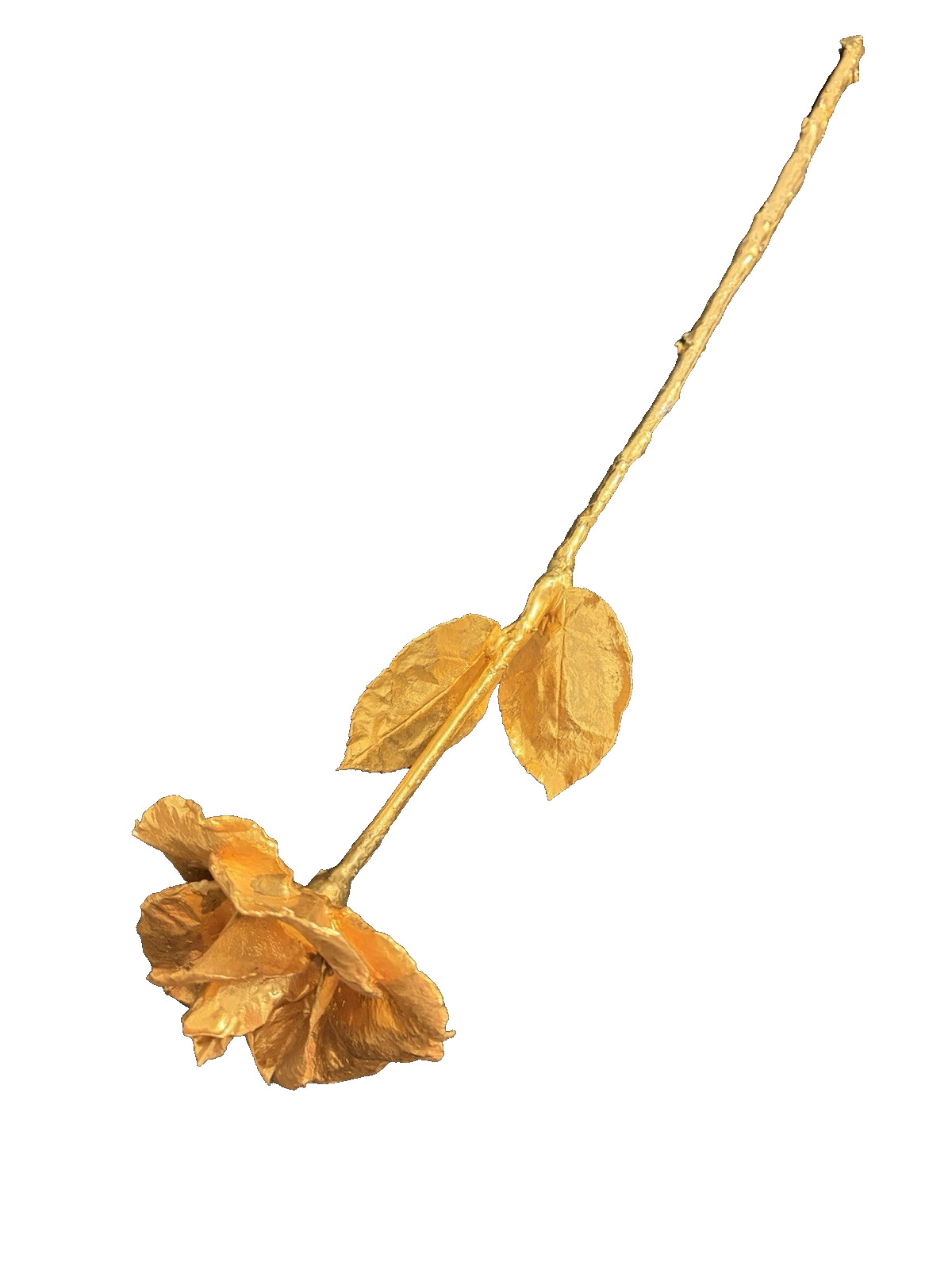 Real Natural Rose Flower Coated Preserved And Dipped In Gold