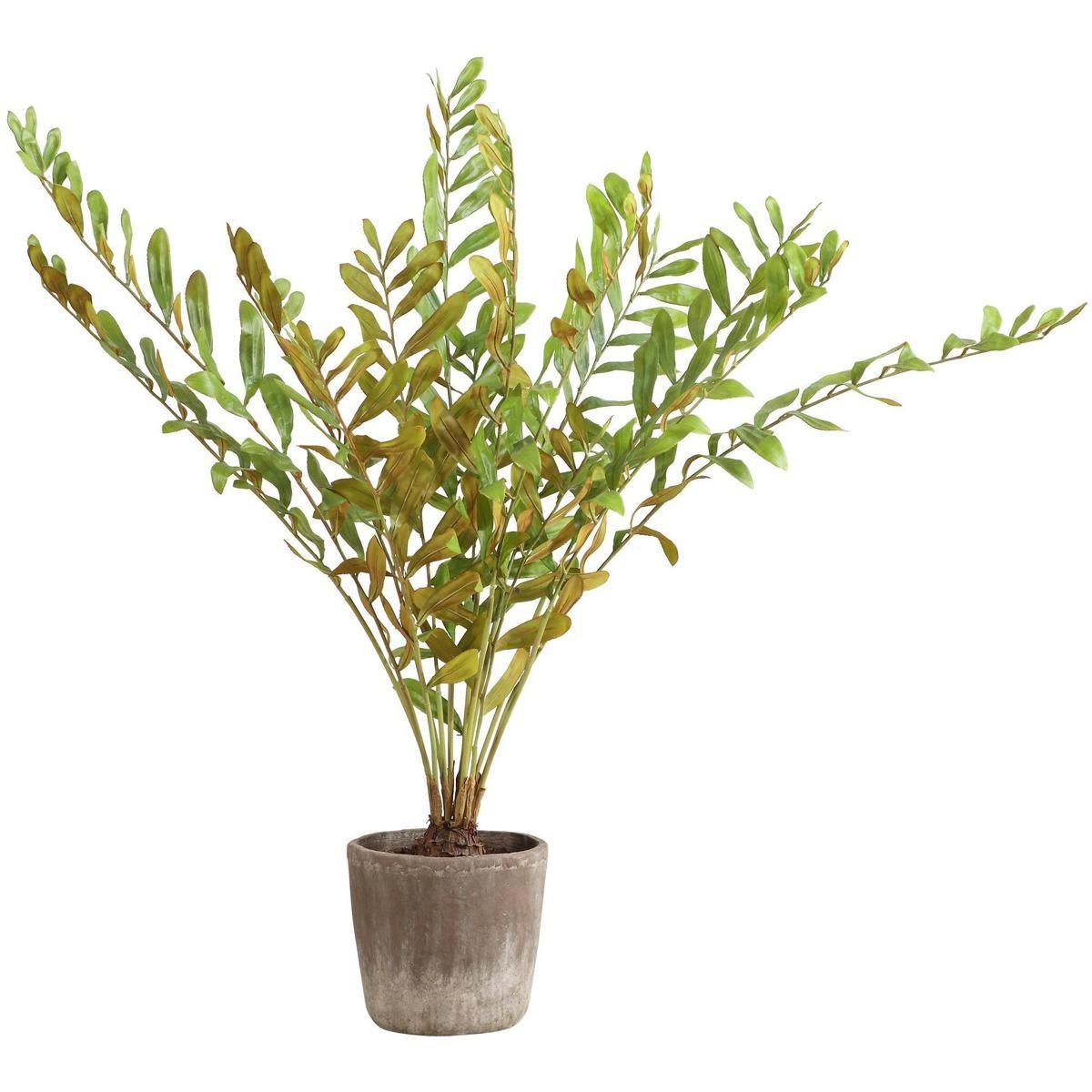 Uttermost 60243 Zamia Green and Concrete Palm Acccent Planter