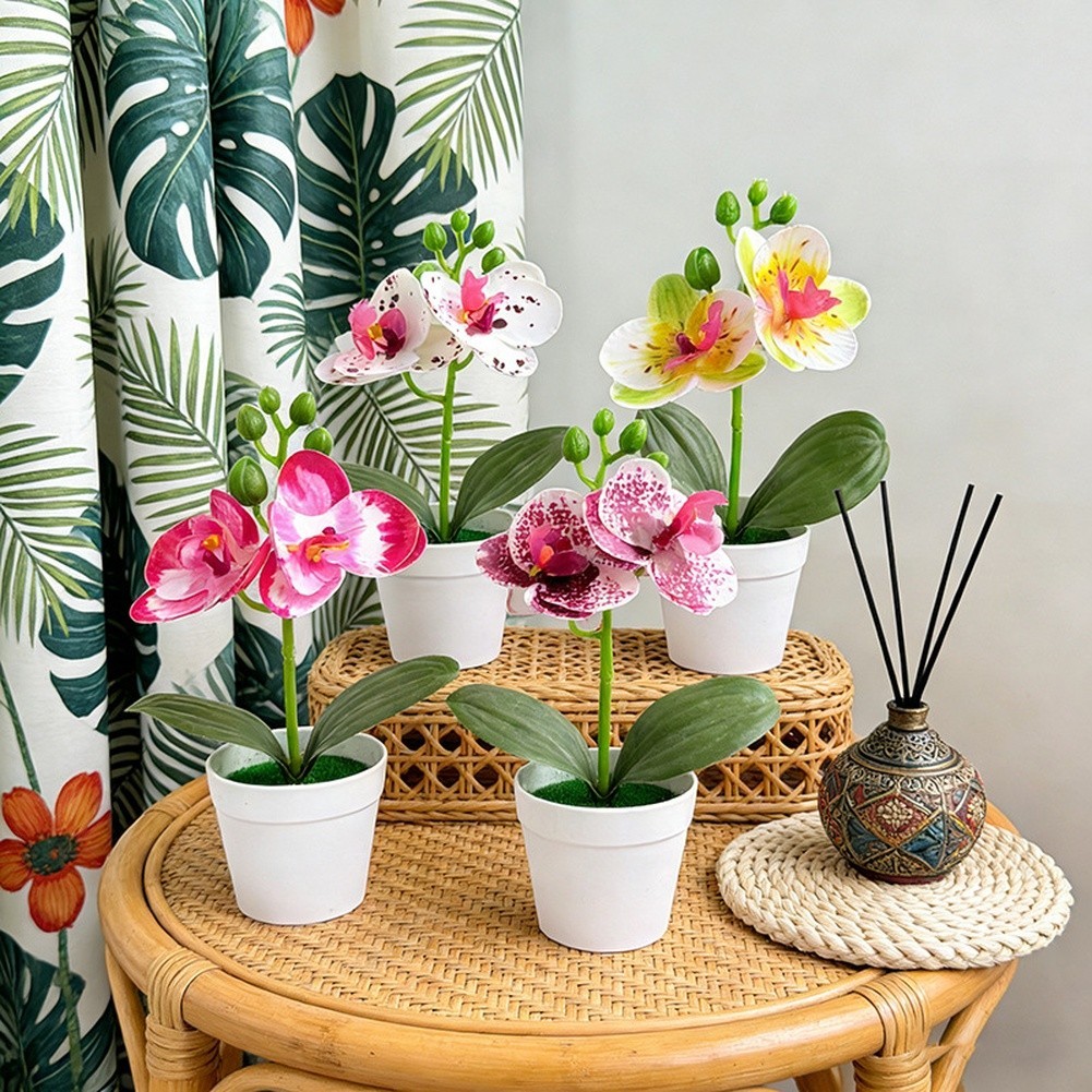 Miniature Phalaenopsis Decor Realistic Butterfly Blooms Handcrafted Detail