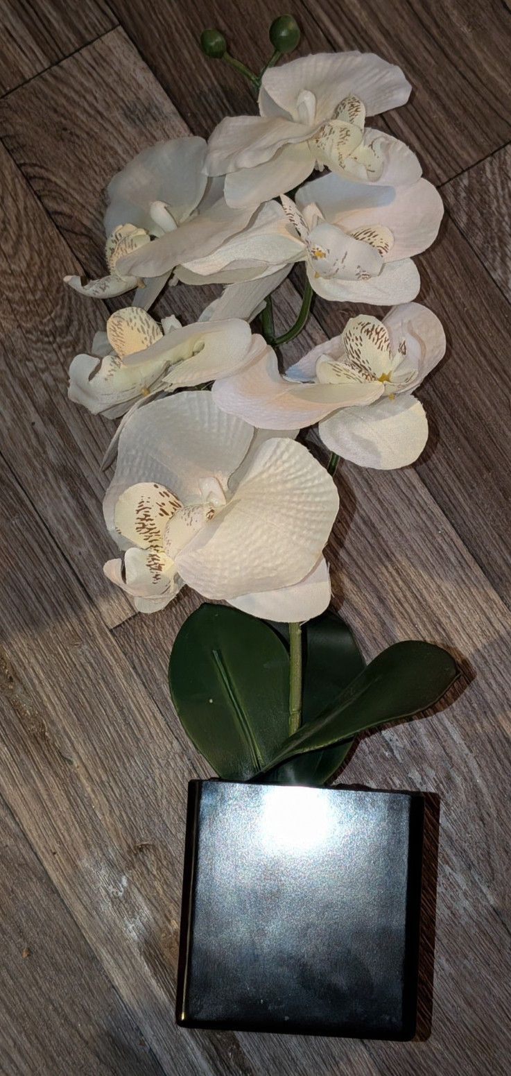 White 16″ Orchid Silk Flower in Black Vase