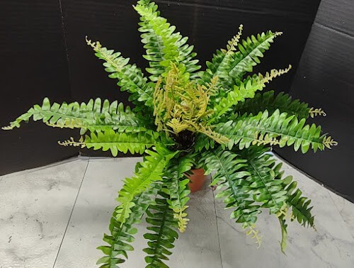 Artificial Boston Fern Silk Flower Arrangements pbf433