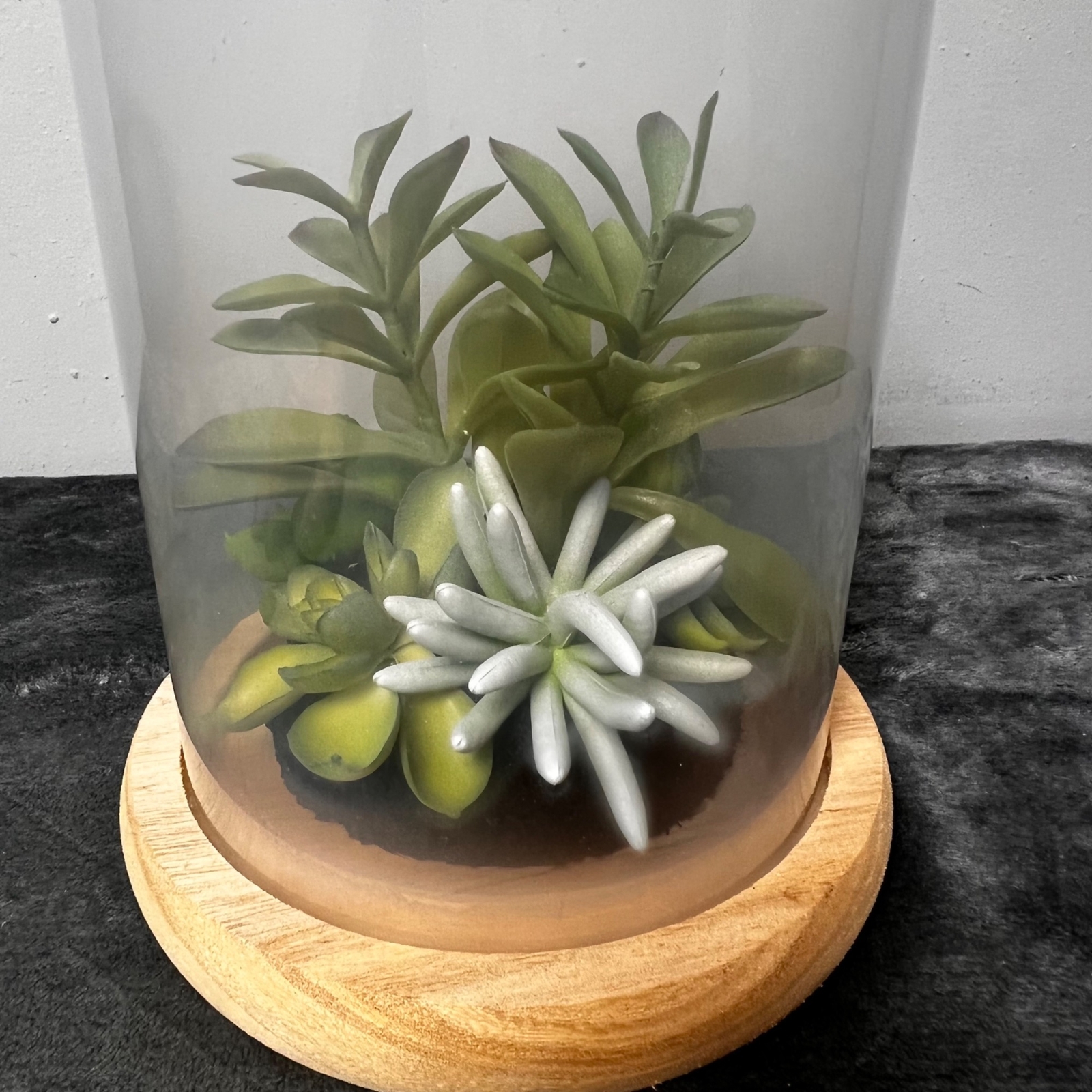 Succulent Terrarium Glass Wood Base Faux Plants Decorative Globe Centerpiece