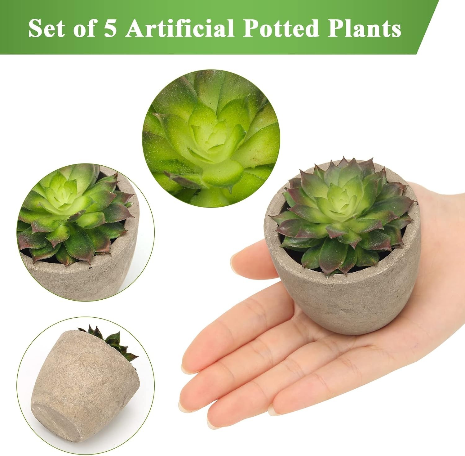 Vibrant Faux Cacti – Set of 5 Artificial Succulent Plants for Housewarming Gifts