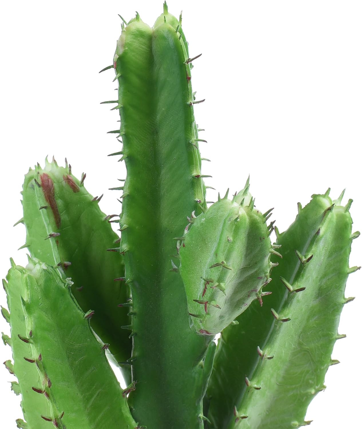 Bluecell 2Pcs Real Looking Artificial Cactus Plant DIY Material for Home Decorat