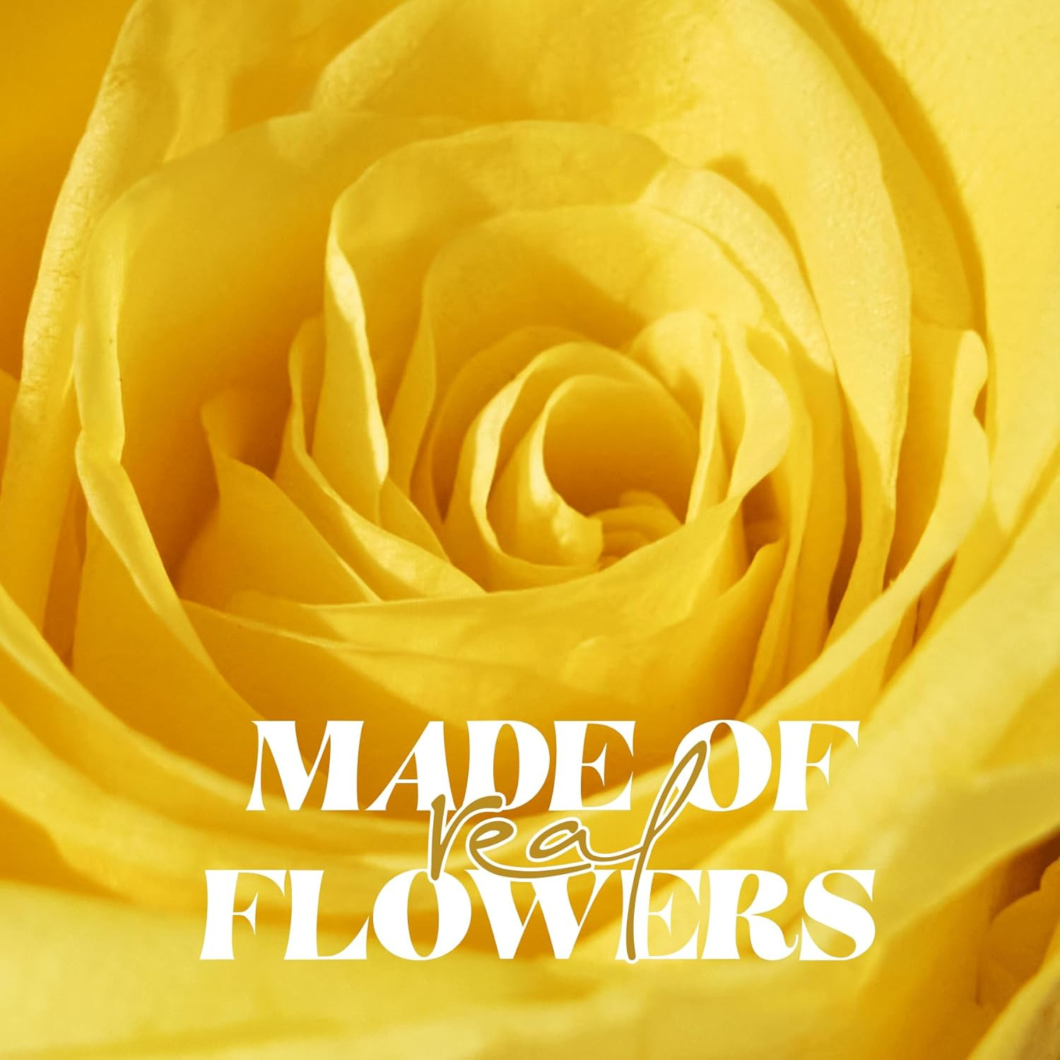 Preserved Yellow Roses in Glass Dome – Perfect Gift for Her on Any Occasion