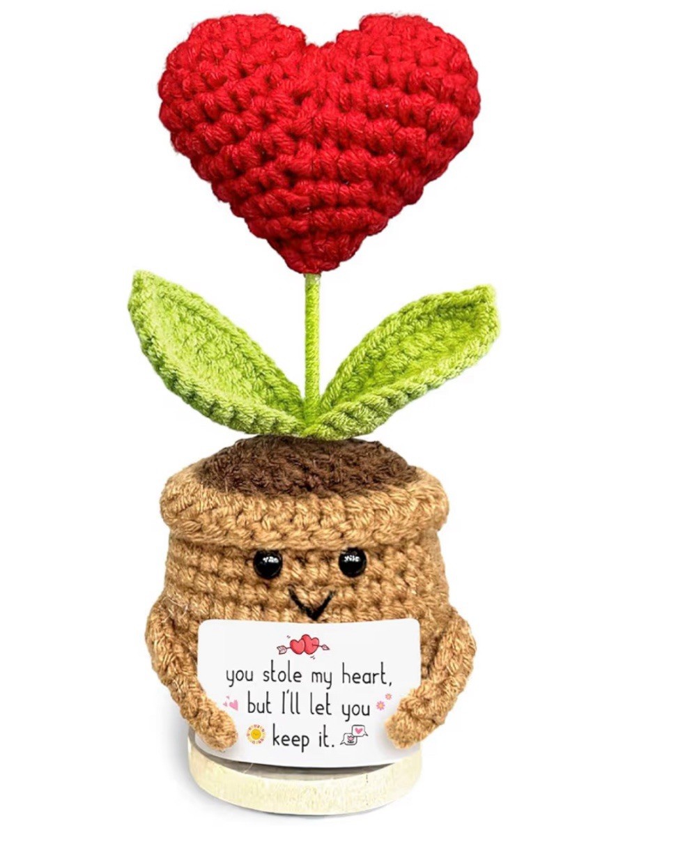 Crochet “YOU STOLE MY HEART” Heart Plant Flower-Perfect Gift