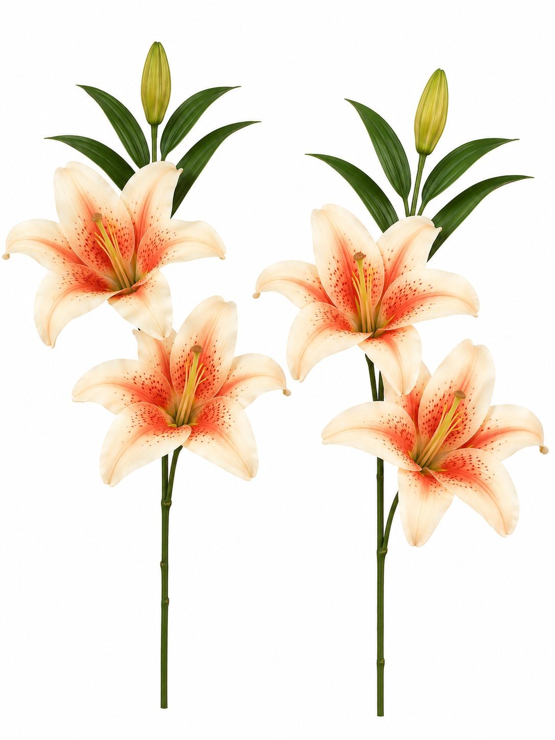 Real Touch Coral Peach Lily Stems Set of 2, Artificial Lily Flowers, Faux Floral