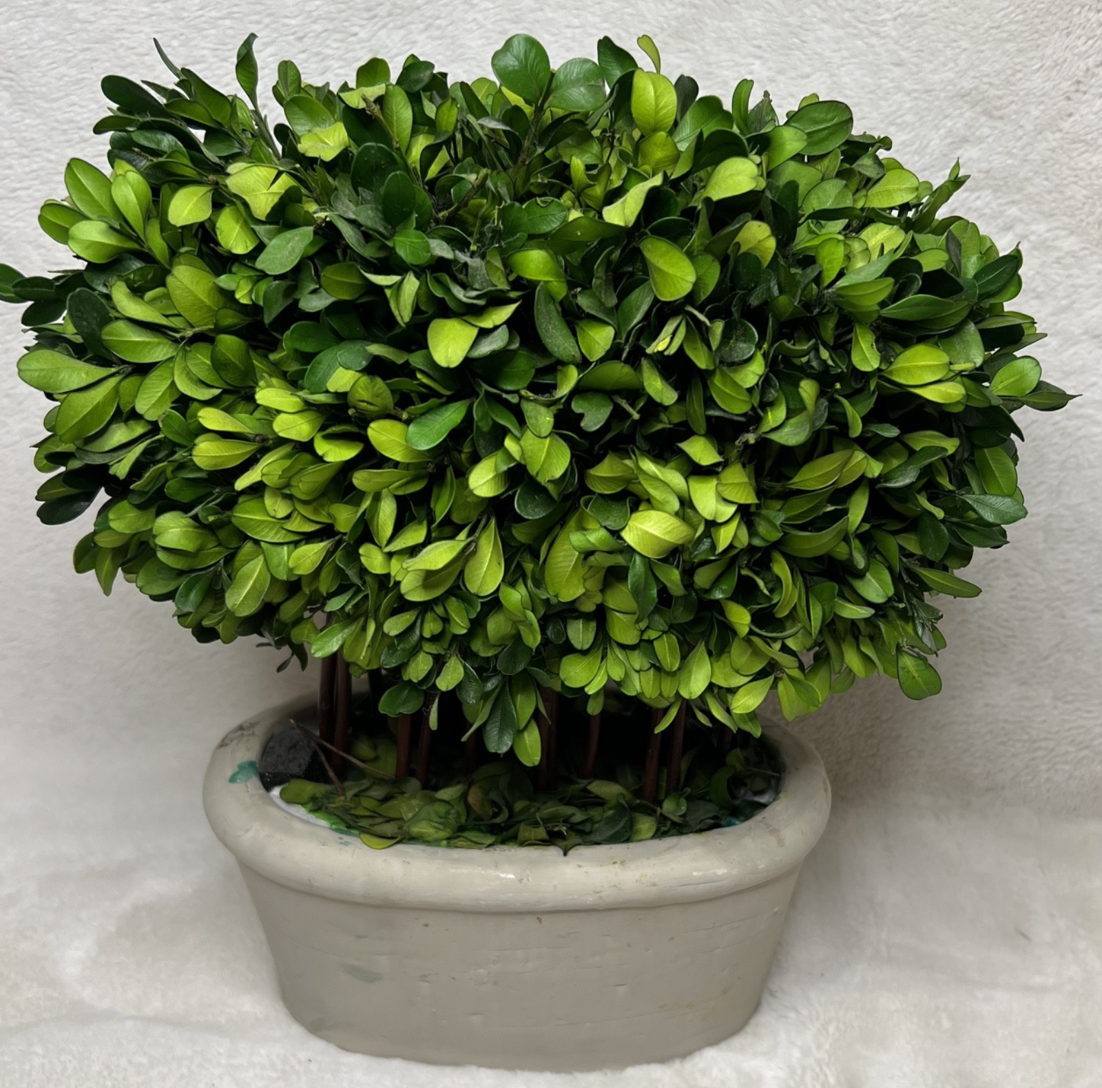 Bundle of Topiaries, Wreaths, and Picks for Decor
