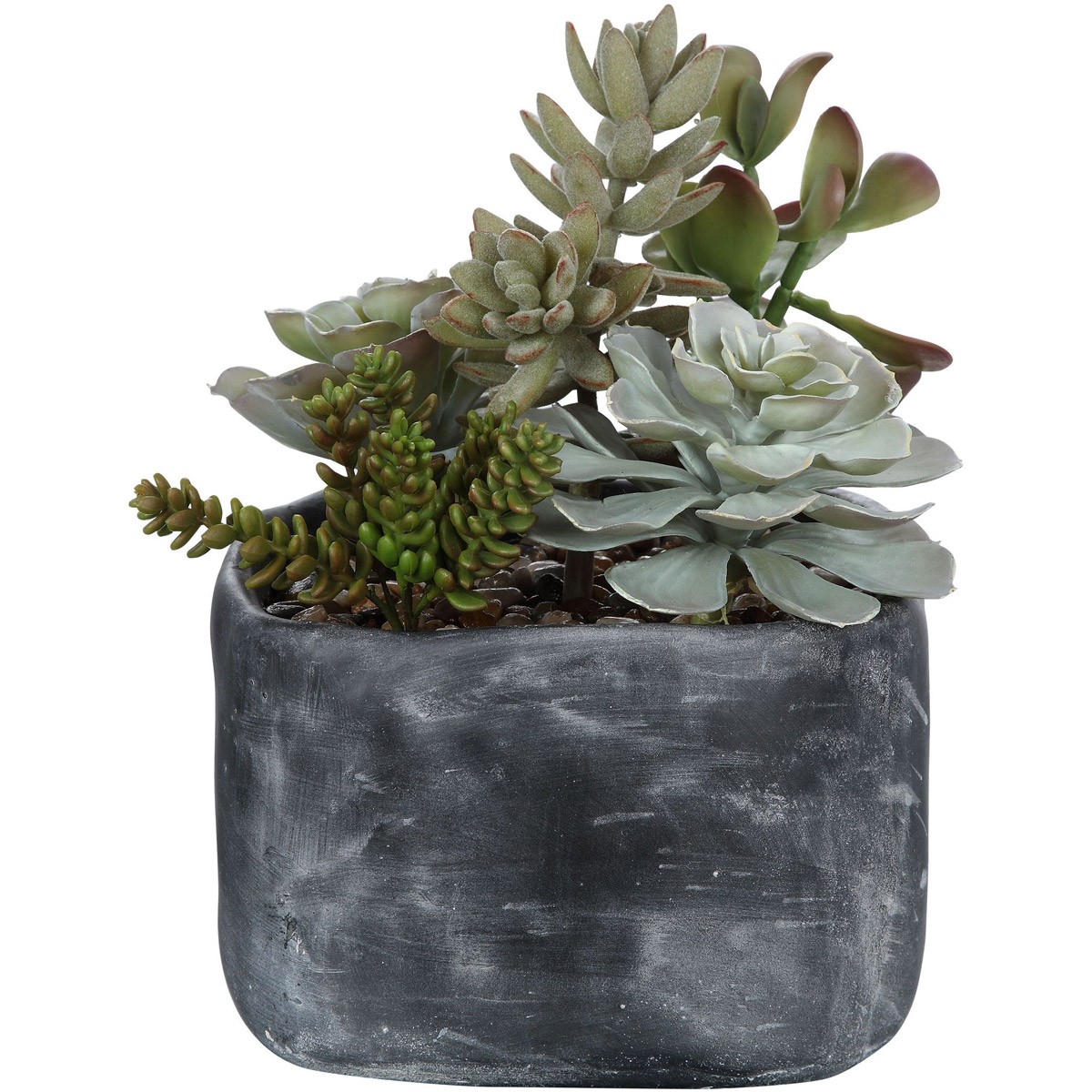 Uttermost 60173 Alverio Charcoal Gray Concrete Succulents