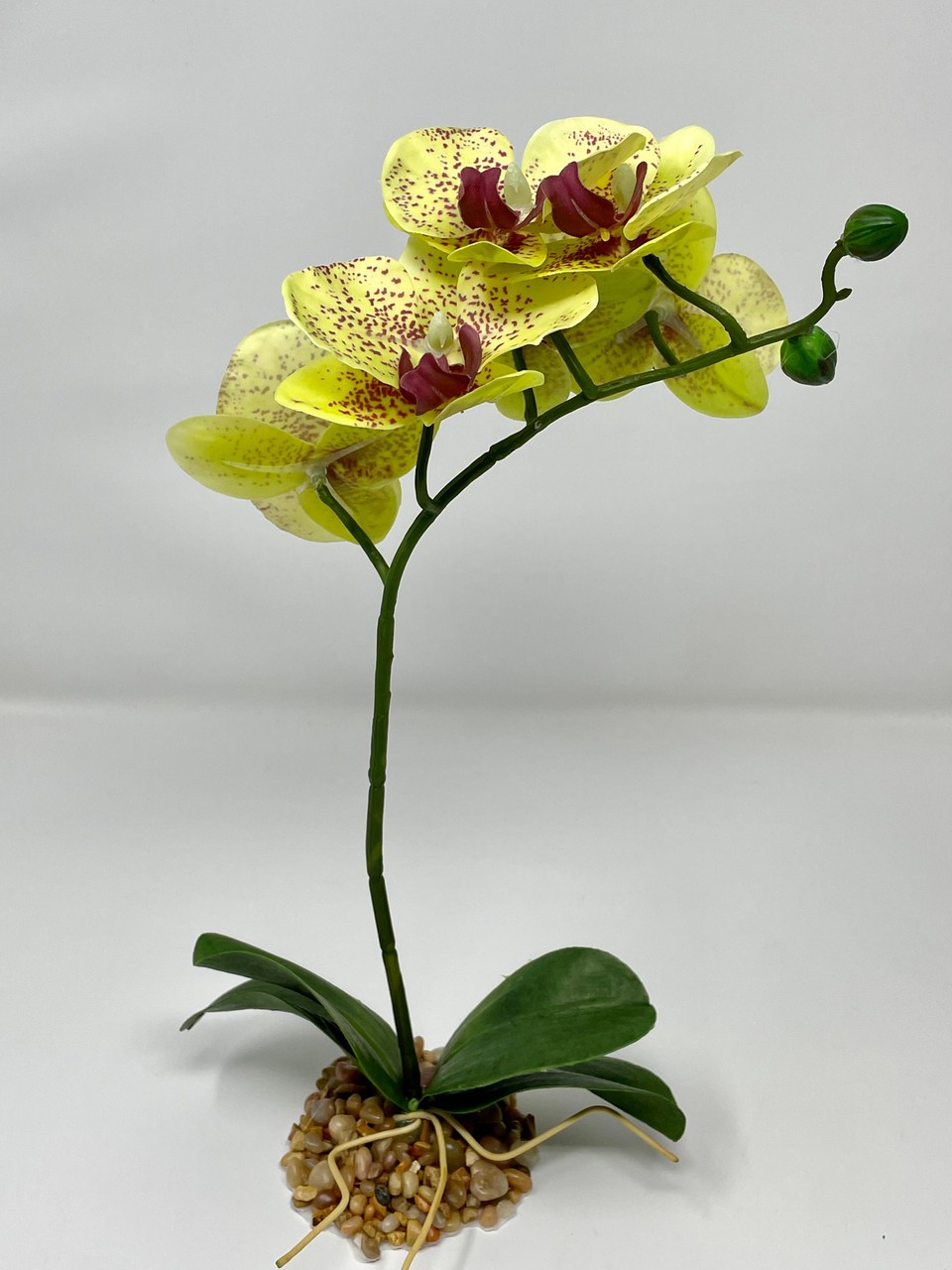 Home Decor 10-14″ Pale Yellow PHALAENOPSIS ORCHID Soft Silk plant, Stone base