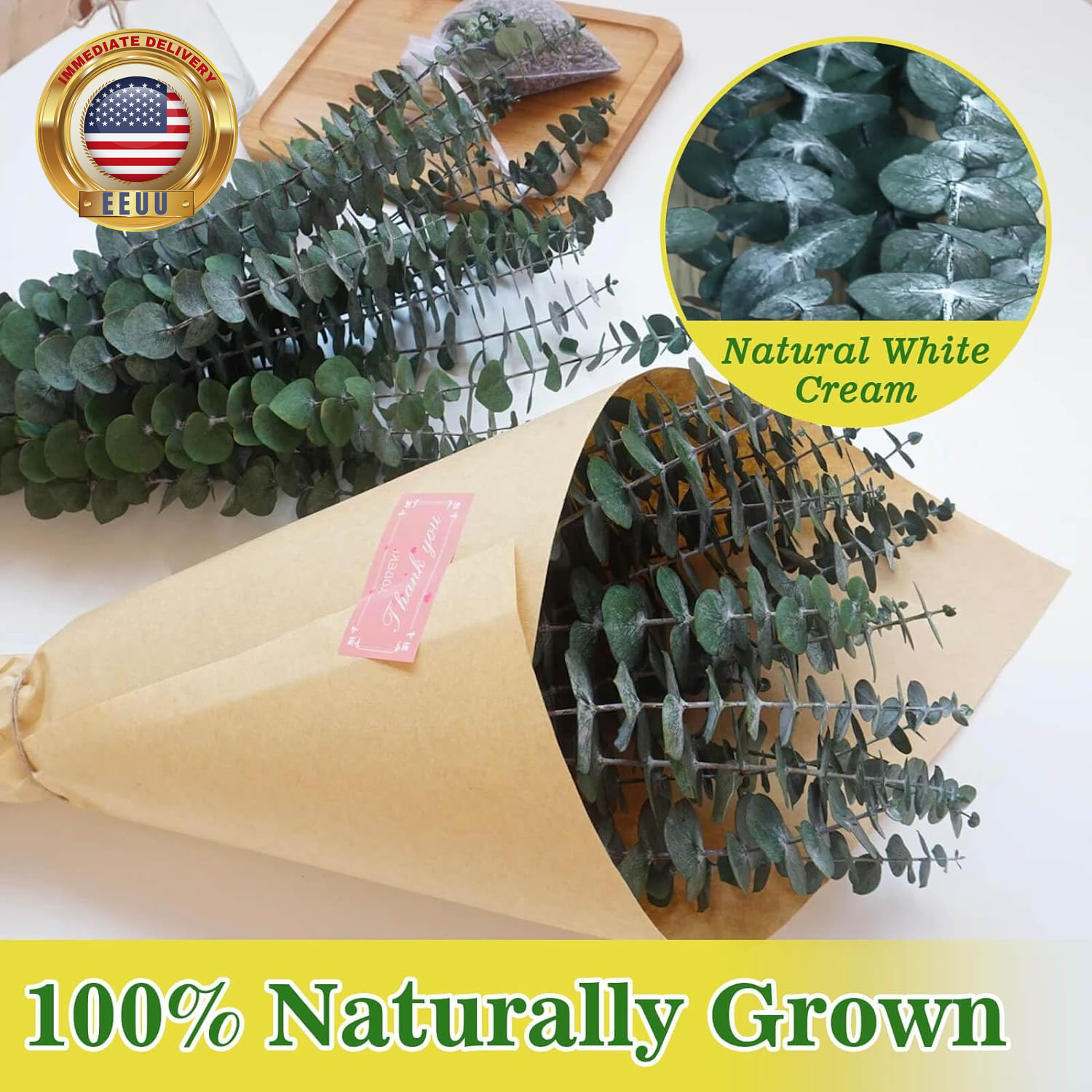 11 PCS Real Dried Eucalyptus Stem for Shower & Bathroom Decor – 17” Large Natur