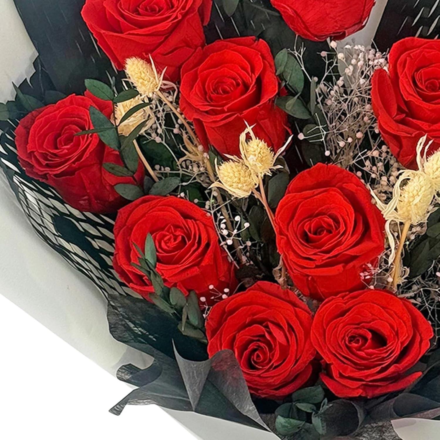 Long Lasting Preserved Roses 12 Red Flowers with Eucalyptus and Gypsophila