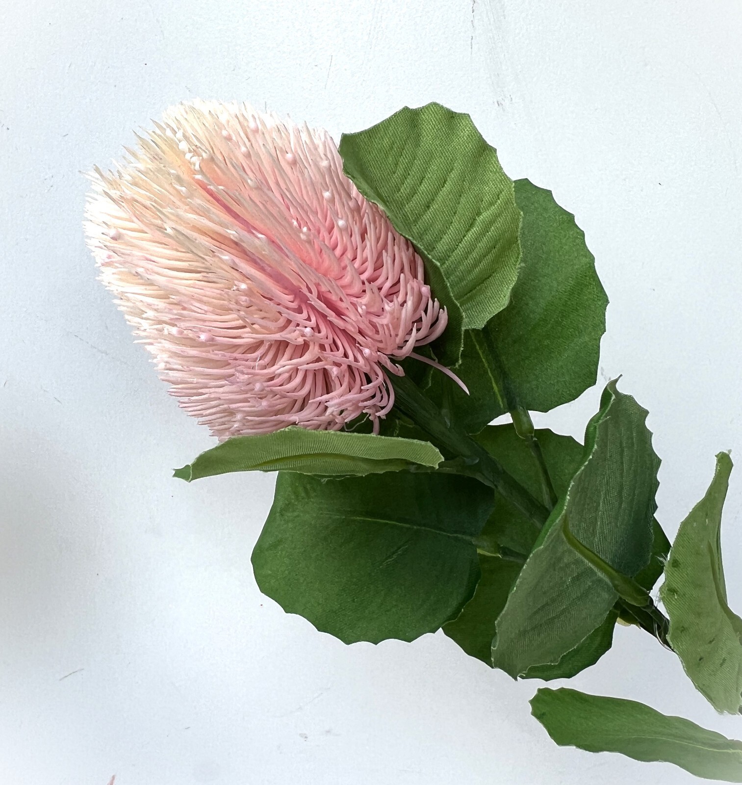 Australian Native Flower Stem Pink Banksia Bottle Brush Flowers Faux Silk x 1