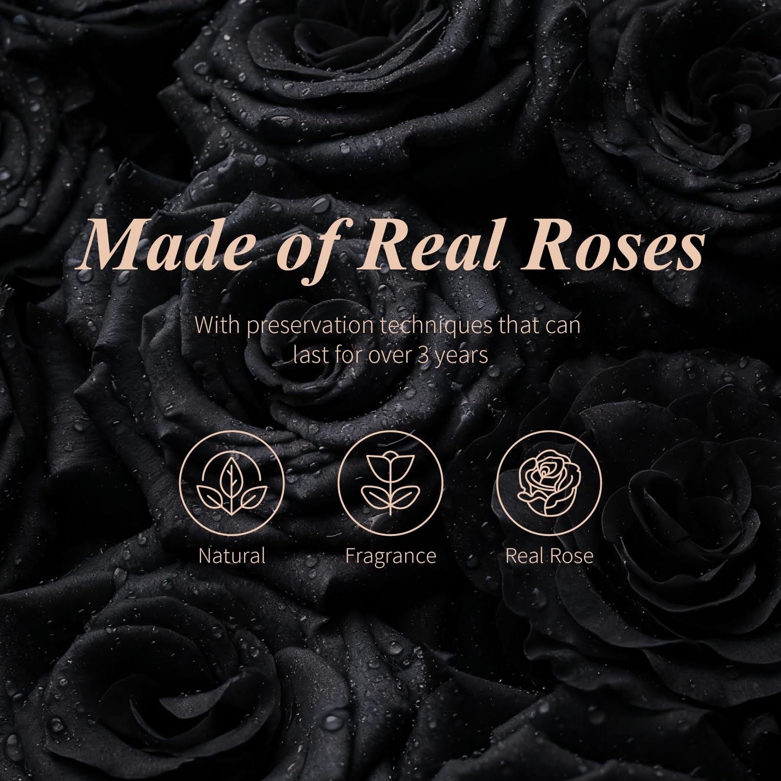 Preserved Black Rose in Glass Dome, Medium Forever Rose Gift, Flowers for Del…
