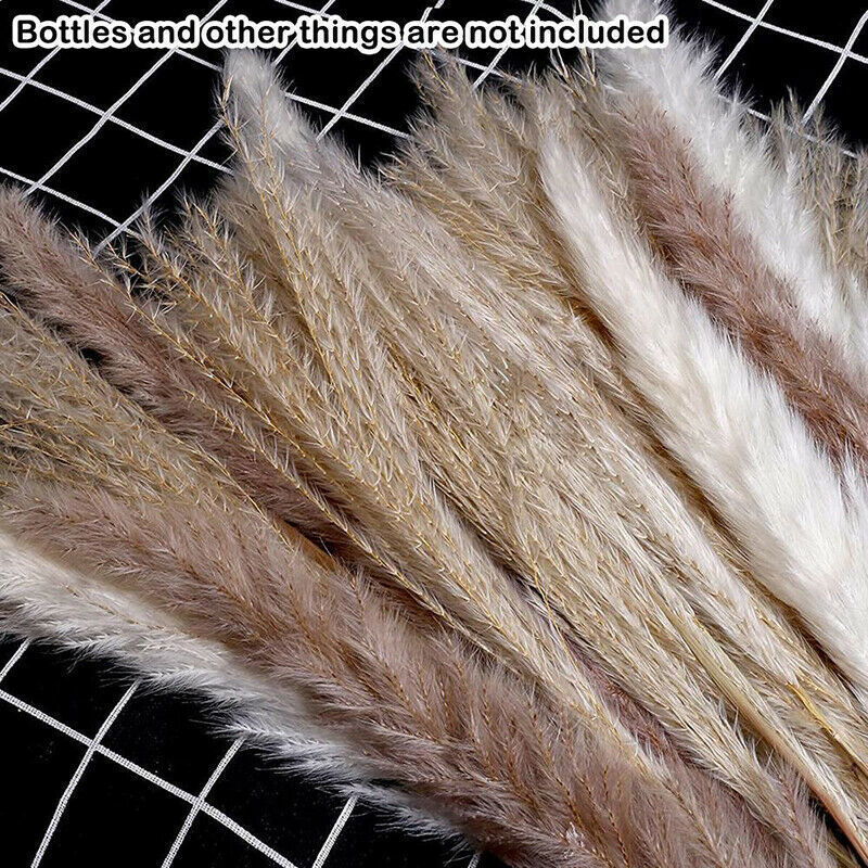 60Pcs Natural Dried Pampas Grass Reed Flower Bunch Bouquets Xmas Wedding Decor