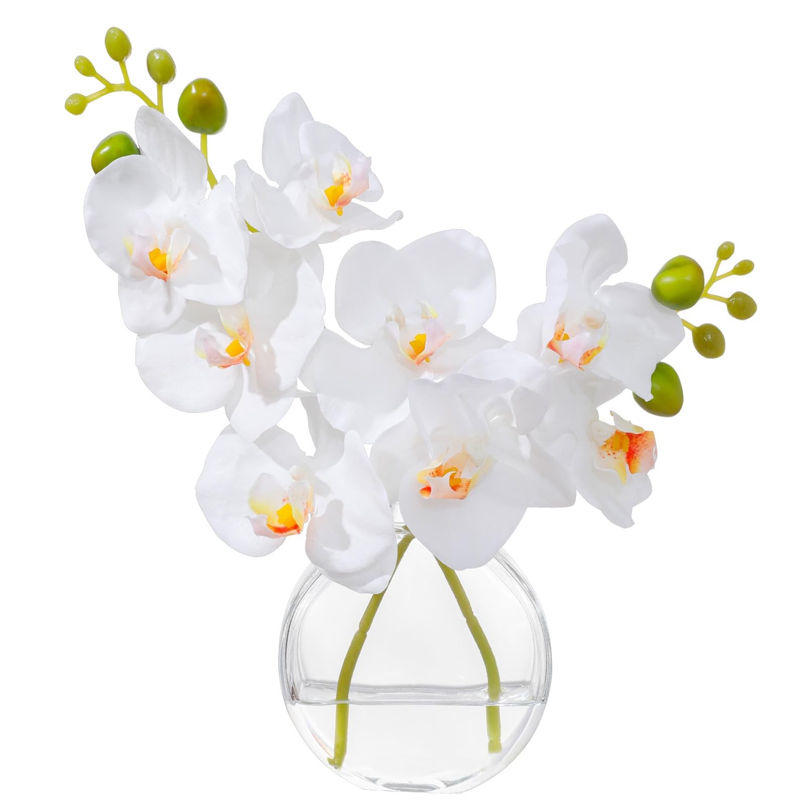 Artificial White Orchid in Glass Vase with Faux Water, 11″ Small Silk Phalaen…