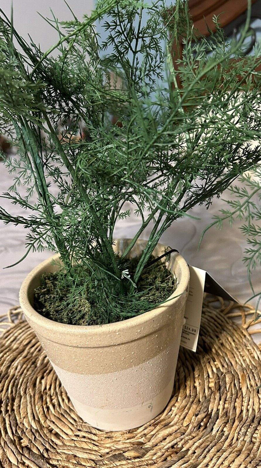 Hearth and Hand with Magnolia Artificial Faux Potted Plants Asparagus Fern