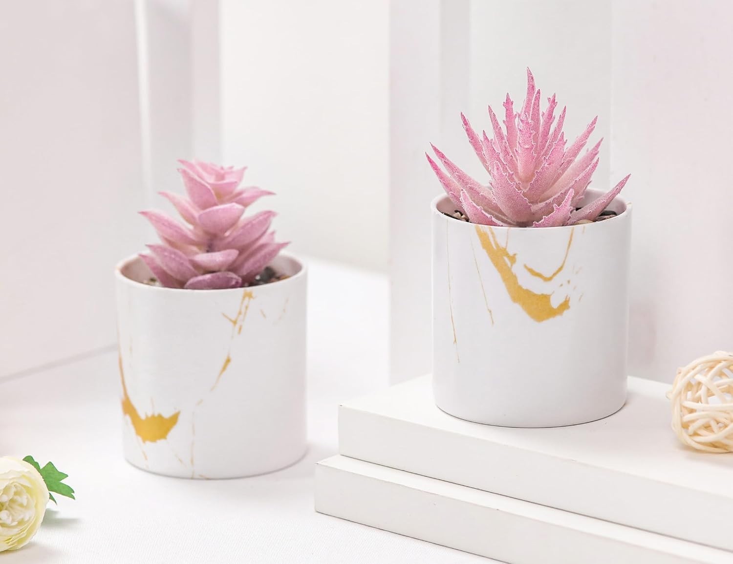 Low-Maintenance Pink Succulent Set – Perfect for Dorm and Minimalist Spaces