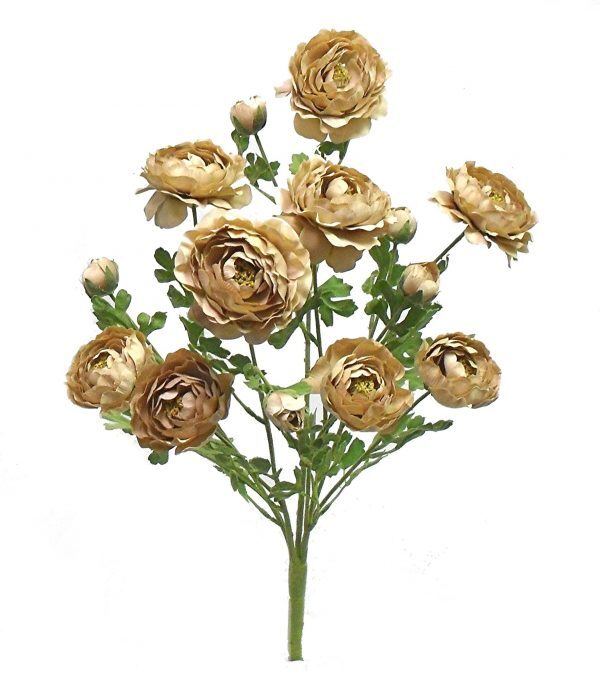 Ranunculus Bush 5 Stems 22in Beige