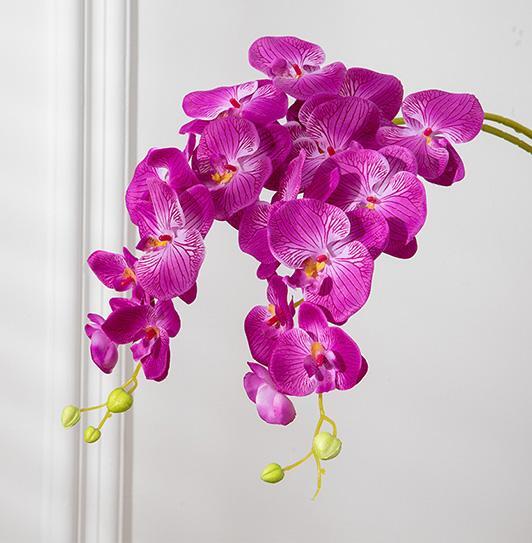 69cm Artificial Phalaenopsis Flower Branches Real Touch Faux Orchid Stems for Fl