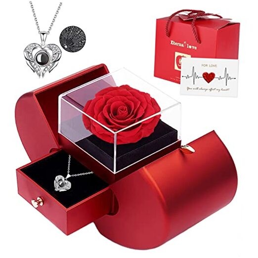 Preserved Real Rose with I love you Necklace 100 Languages, Gifts for red