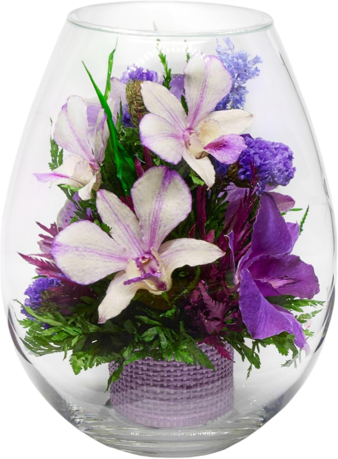 Fiora Flower Elegant Orchid Arrangement in Glass Vase Preserved Real Orchids L