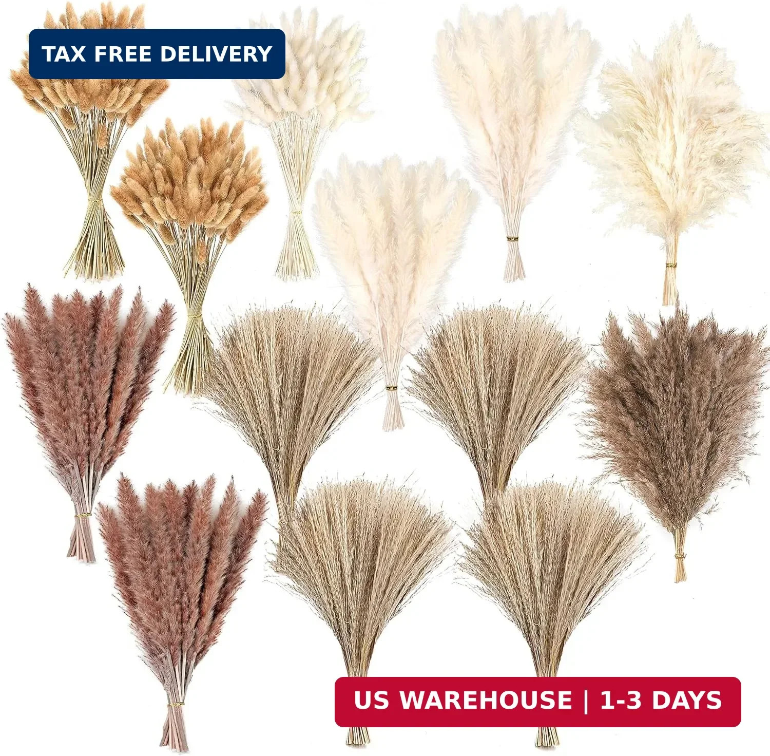300 PCS Dried Pampas Grass Decor, Dried Flower Bouquets for Wedding, Home, Cente