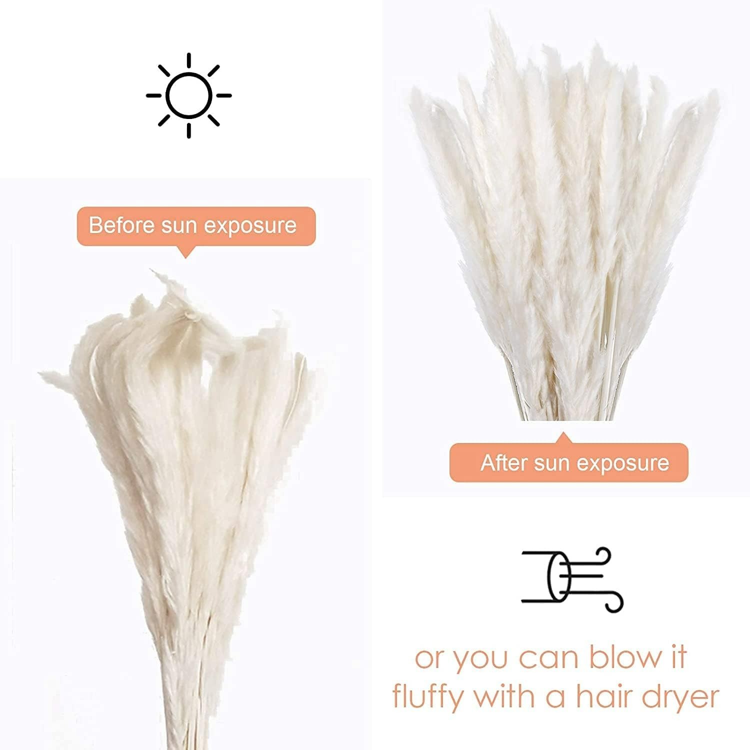 30 Pcs White Pampas Grass ,17 inch/45 cm Natural Dried Pampas Grass Branches …