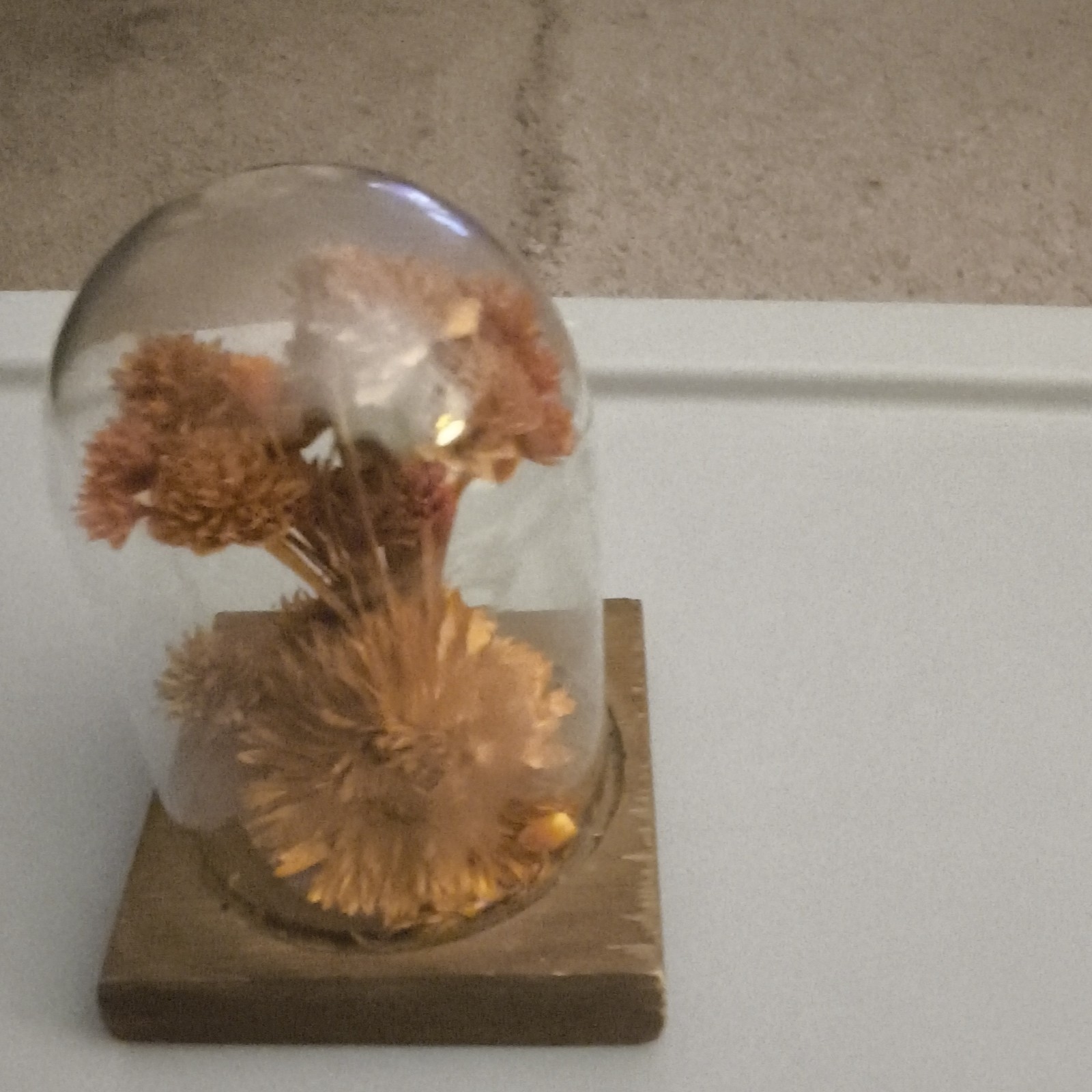Dried Flower Arrangement Centerpiece Under Glass Dome Cloche on Wood Base