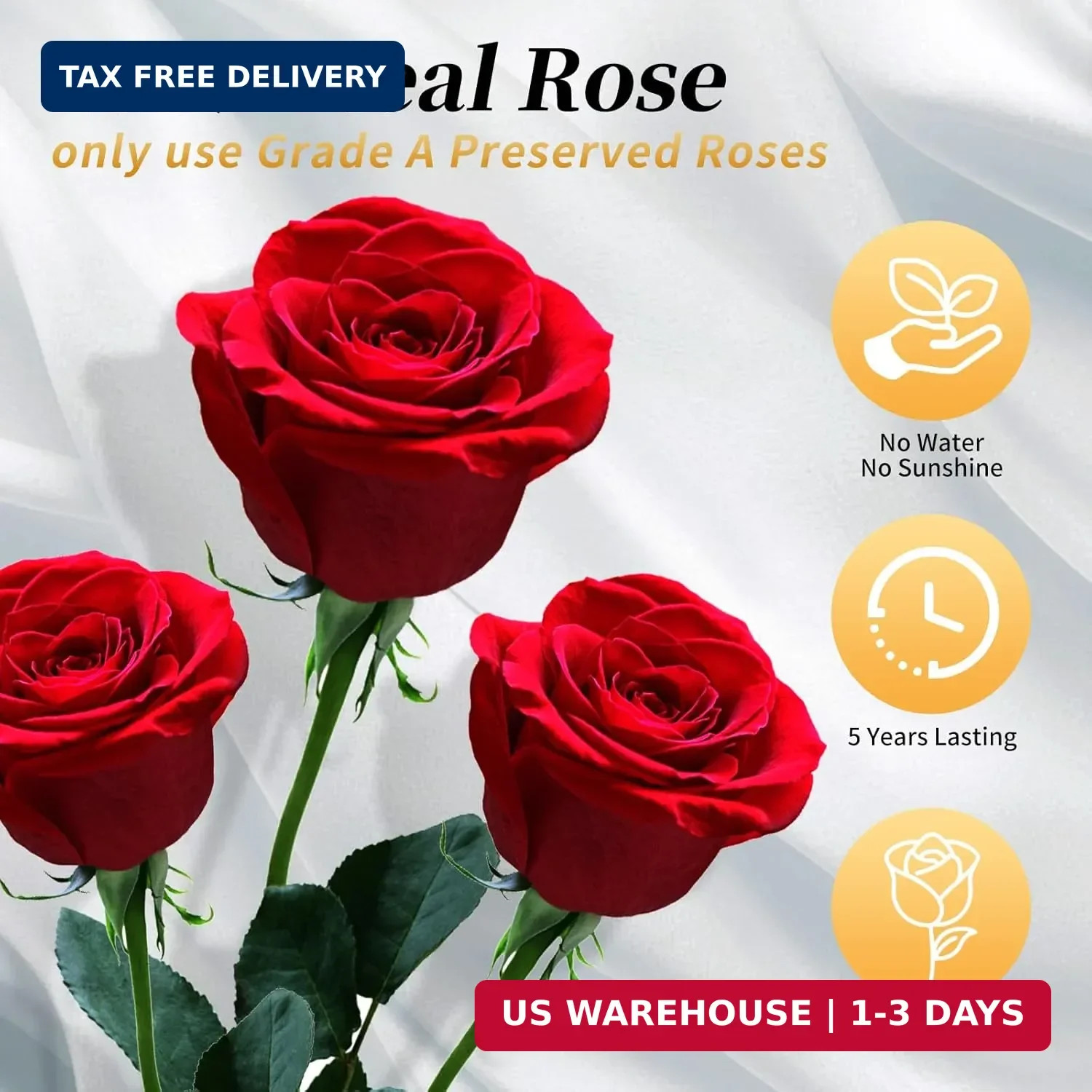 Forever Flowers Roses in A Box,Real Preserved Flowers,Preserved Roses,Preserved