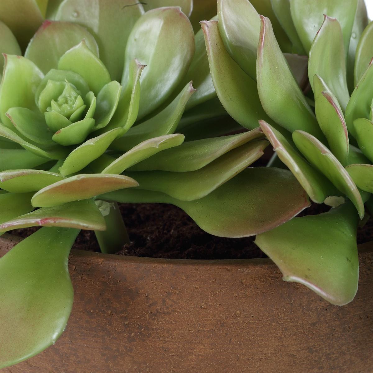 Uttermost 60267 Sable Succulent Terracotta and Green Accent In Pot