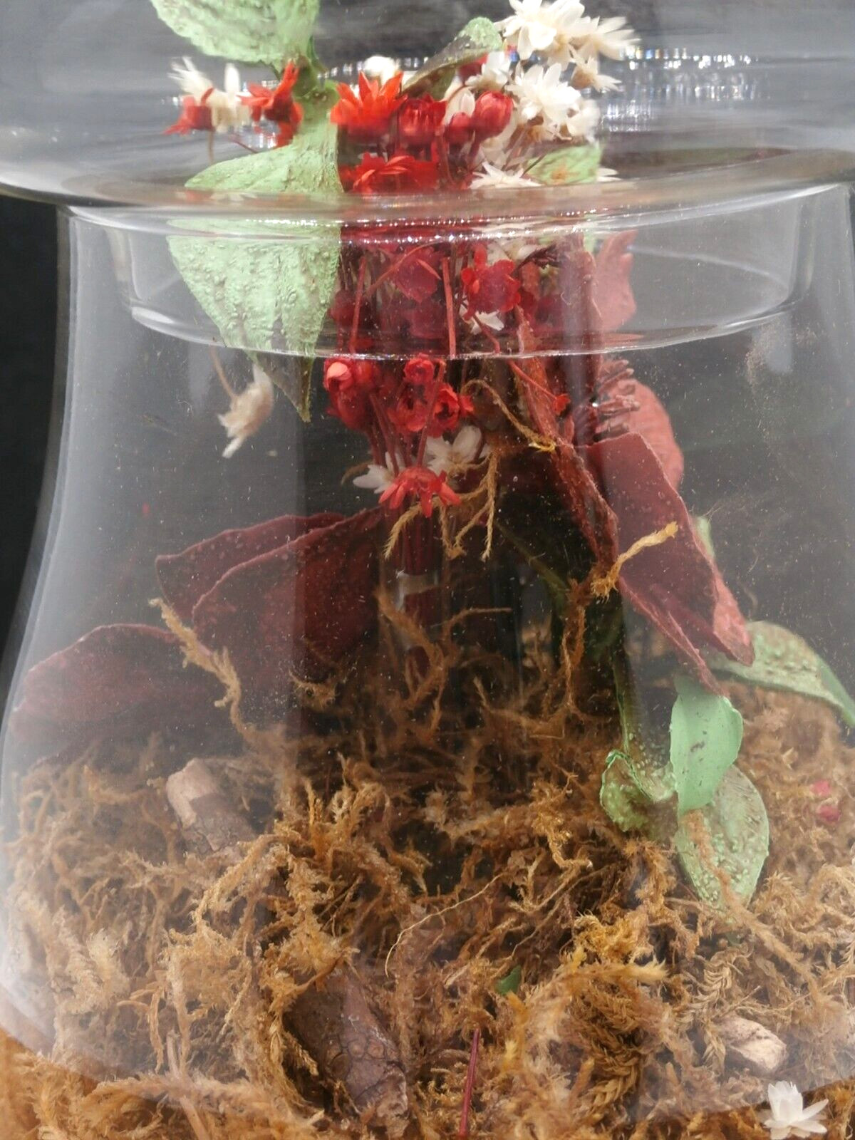 Vtg Mushroom-Shaped Glass Terrarium w/Dried Flowers Wood Stand Leonard Creations