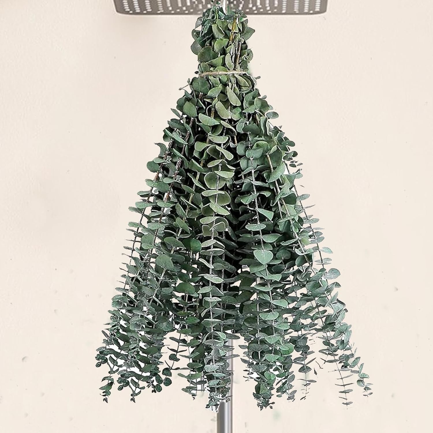 12Pcs Dried Eucalyptus Stems for Shower 17″ Natural Preserved Dried Eucalyptu…