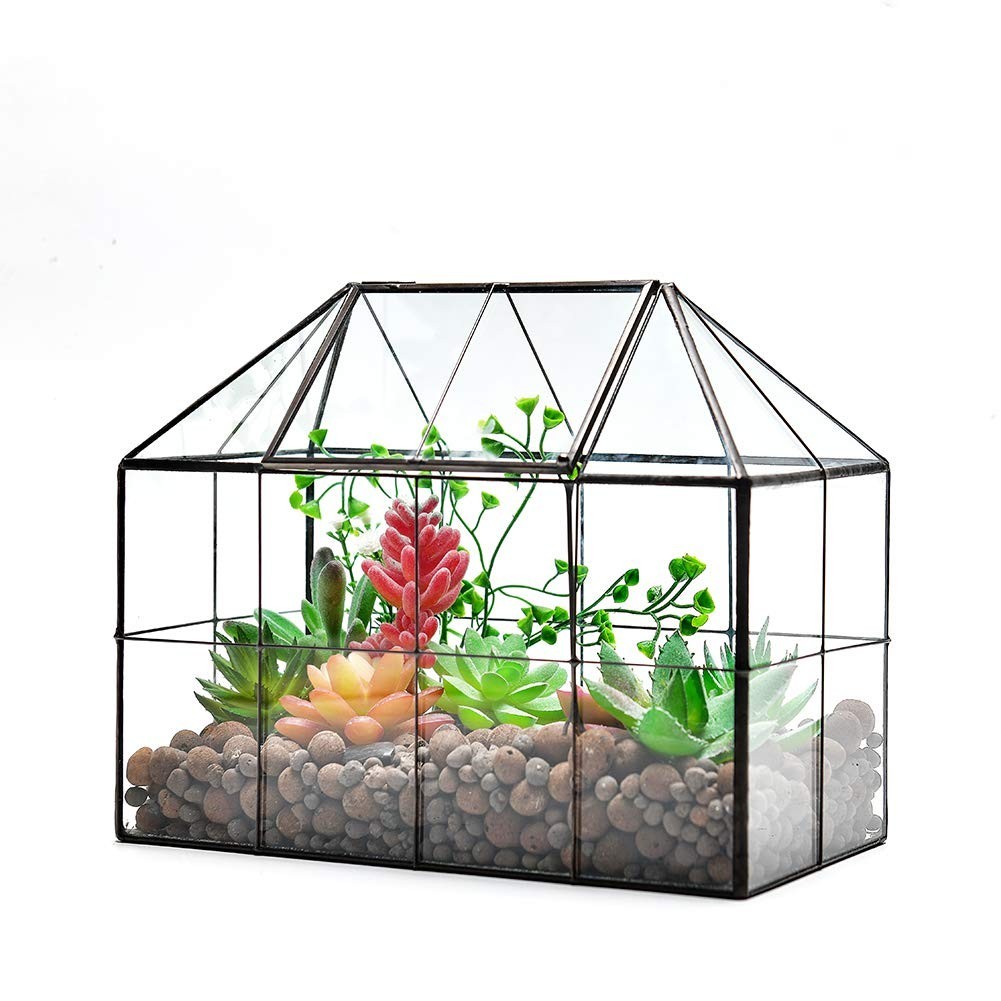 Large Glass Terrarium Planter – Succulent Greenhouse with Lid, 9.8″x7.9″x5.9