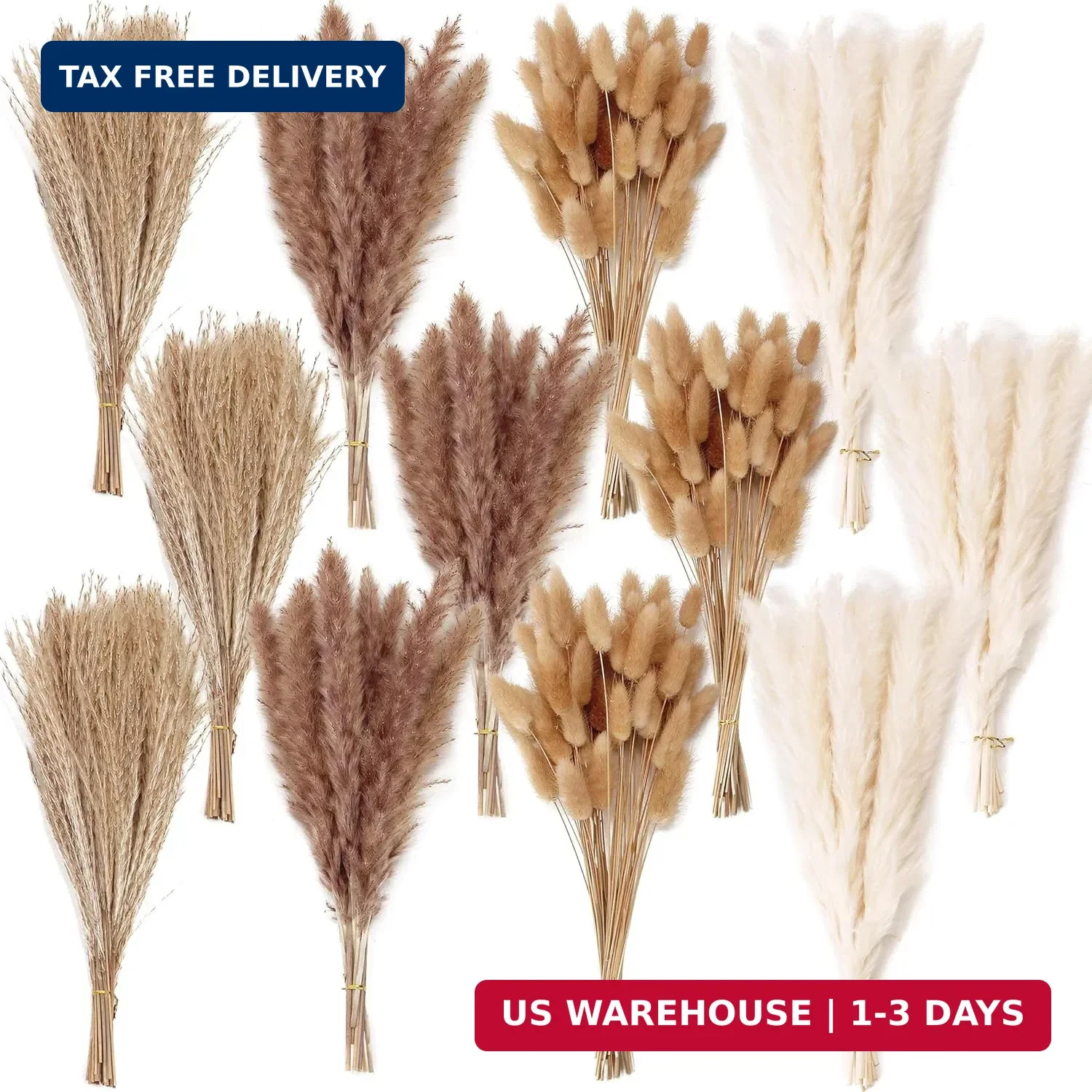 300 PCS Dried Flower Bouquet – Pampas Grass, Floral Decor for Home, Wedding, and