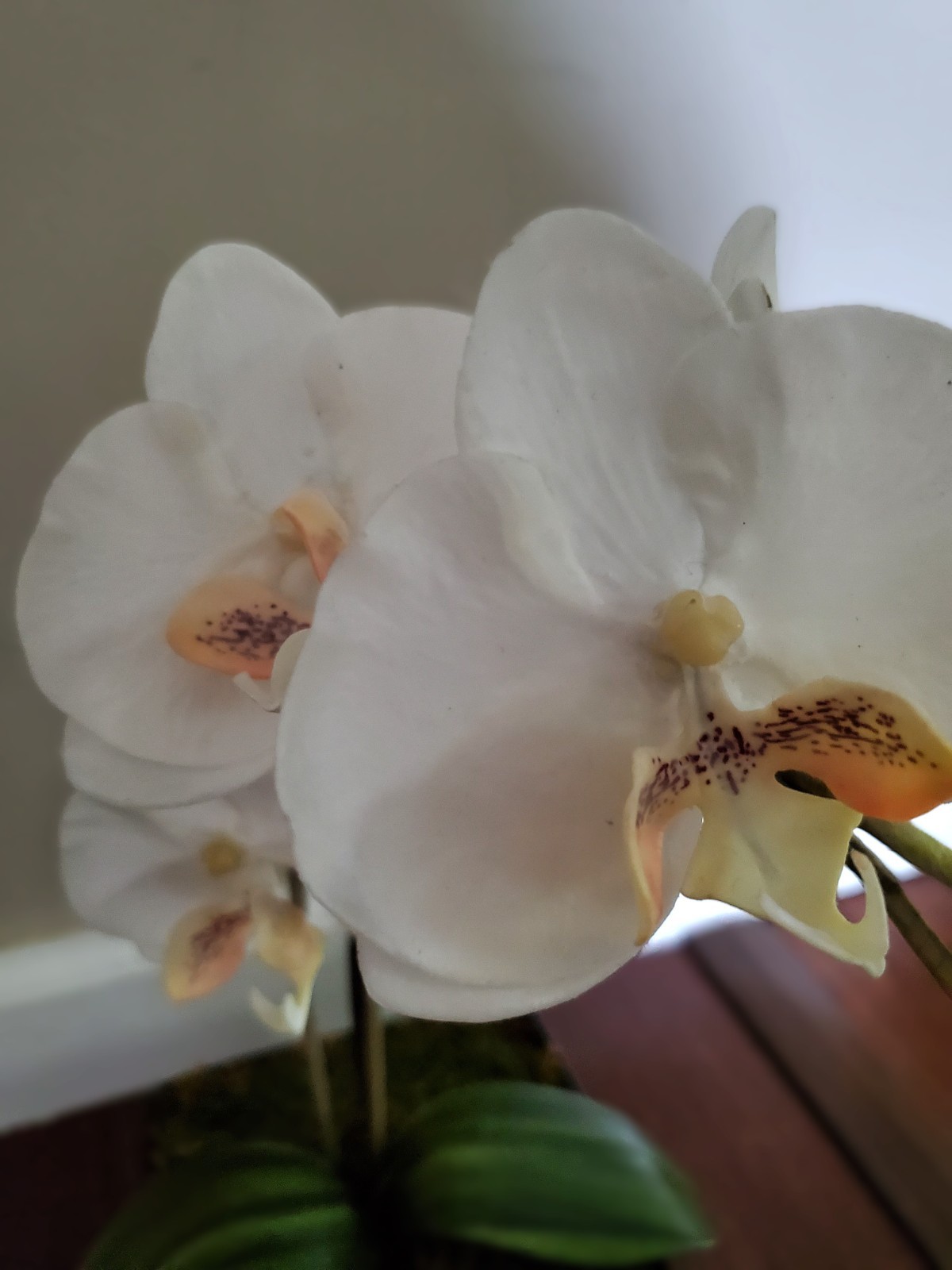 Artificial Flower Arrangement White Phalaenopsis Orchid 16″ in 6x6x2.5 black pot