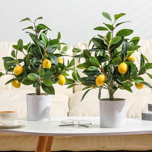 Pcs Artificial Lemon Tree 15.7 Inches Fake Artificial Potted 2 White Pot