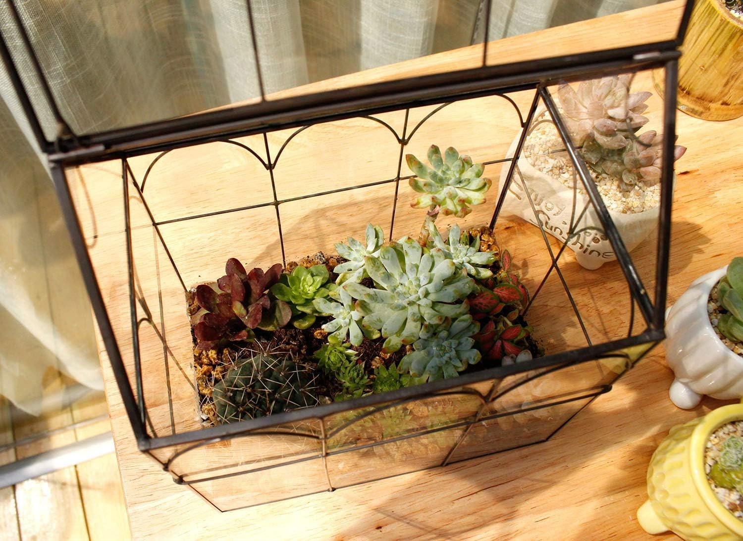 Glass House Geometric Terrarium for Plants