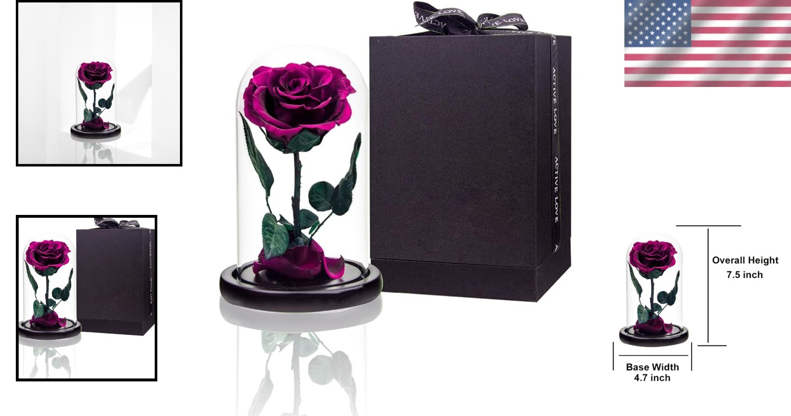 Luxury Preserved Roses in Glass Dome – Perfect for Anniversary and Mother’s Day
