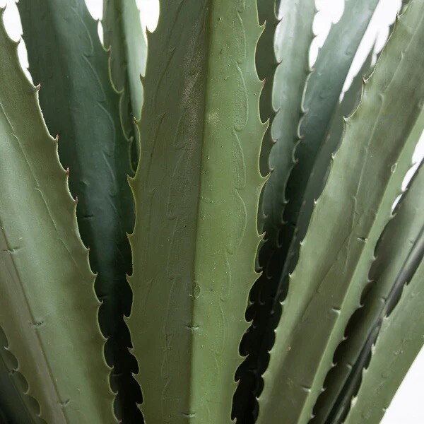 6’ Giant Grand Cactus Artificial Agave Plant UV (Indoor/Outdoor). Retail $499