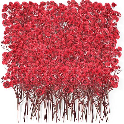 Dried Baby Breath Flowers Red Gypsophila Dried Pressed Flowers 1.97-3.15
