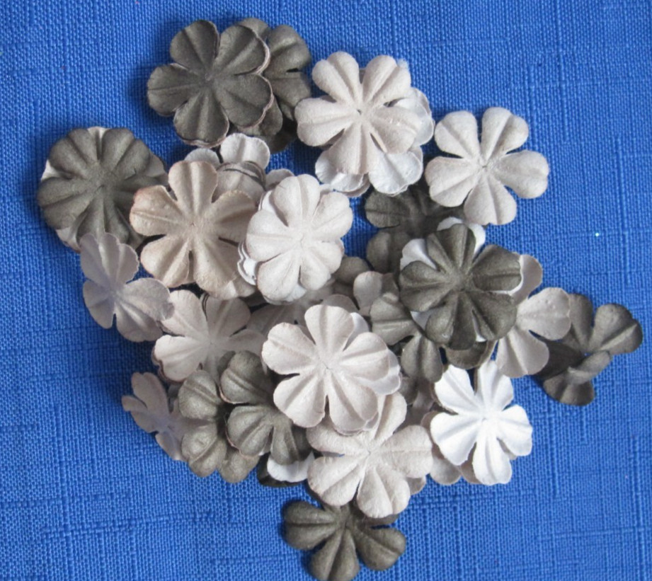 #1 Lot-14 Bags Used Mulberry Paper Flower Petals .5″-1″ Multiple Colors Sizes