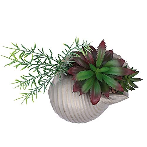 FAUX SUCCULENTS Conch Sea Shell Coastal Beach Decorations ACCESSORYWAY