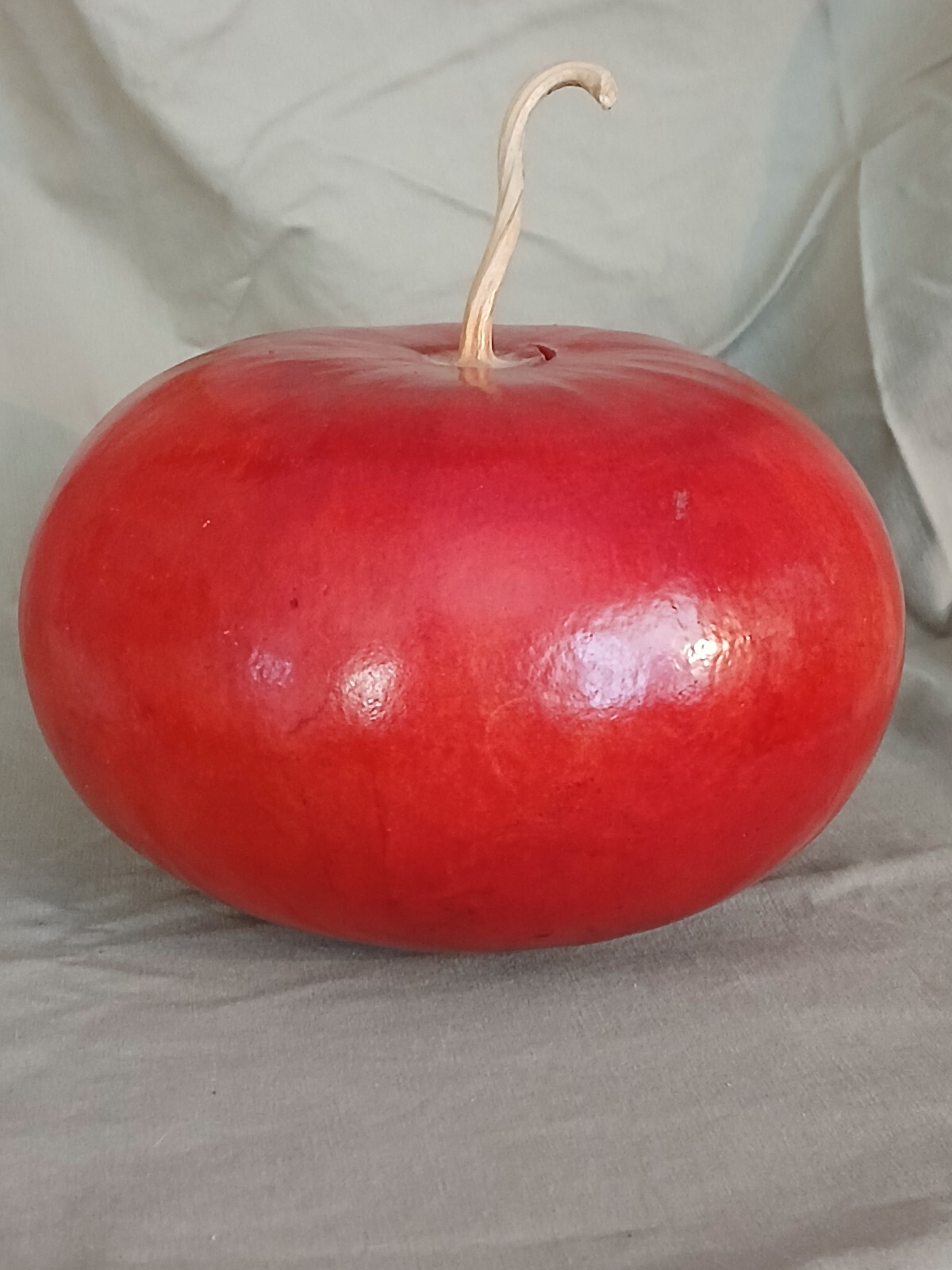 Large Apple Fall Perfect Natural Gourd Dried Decor Painted Red6 x 8 in