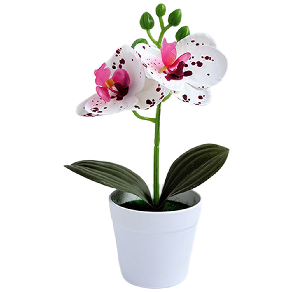 Miniature Phalaenopsis Decor Realistic Butterfly Blooms Handcrafted Detail
