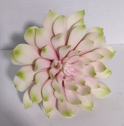 6″ soft touch echeveria pick, succulent
