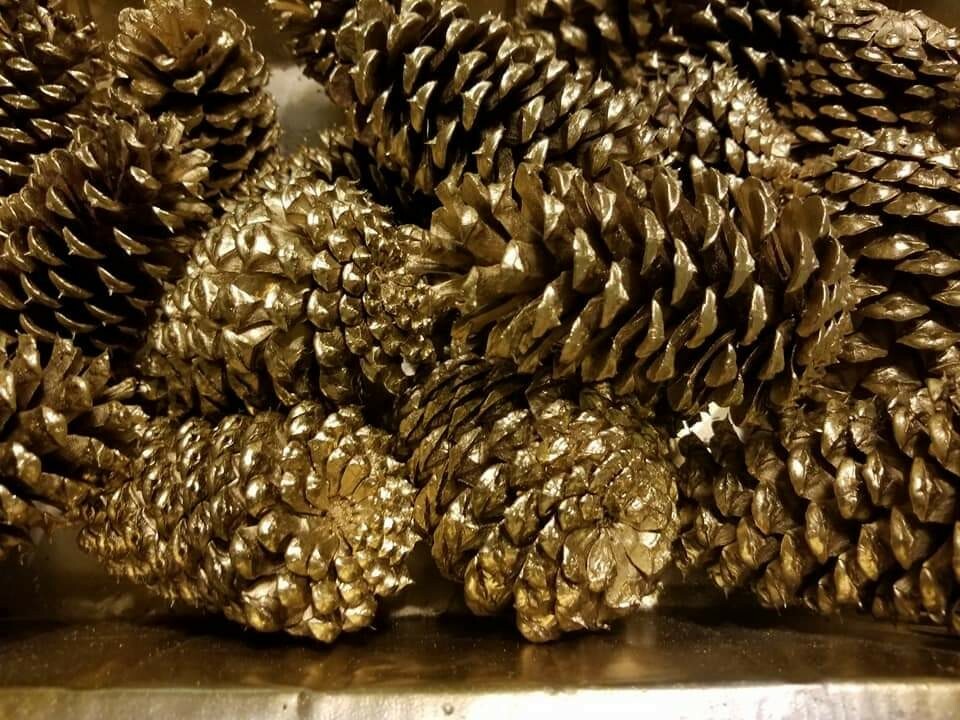 🎅15 Gold Painted Natural Pinecones