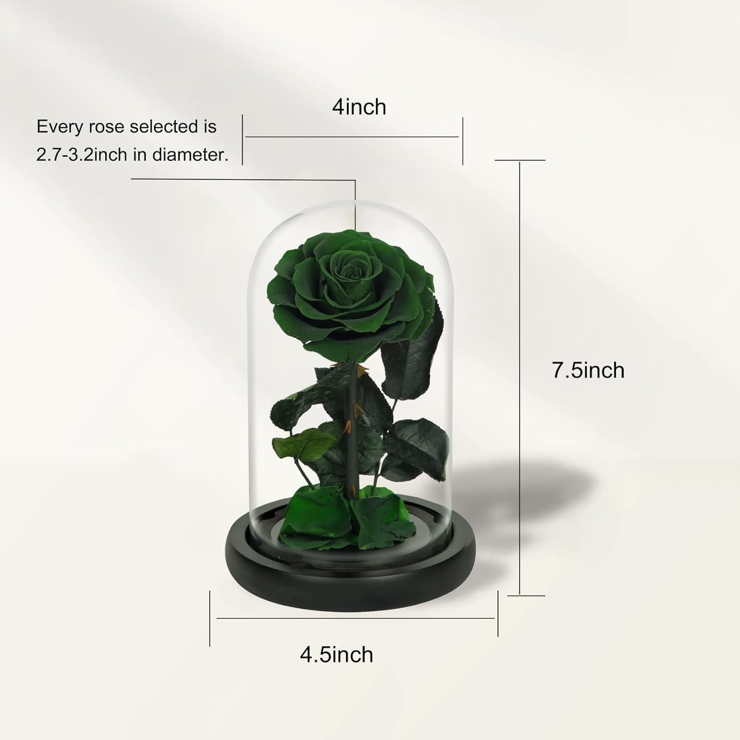 Elegant Handmade Preserved Roses in Glass Dome – Lasting Green Floral Gift